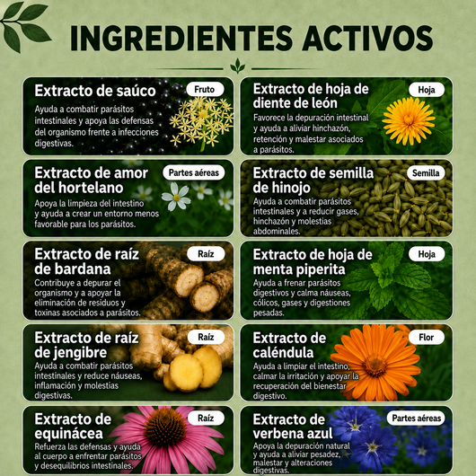 Ingredientes activos